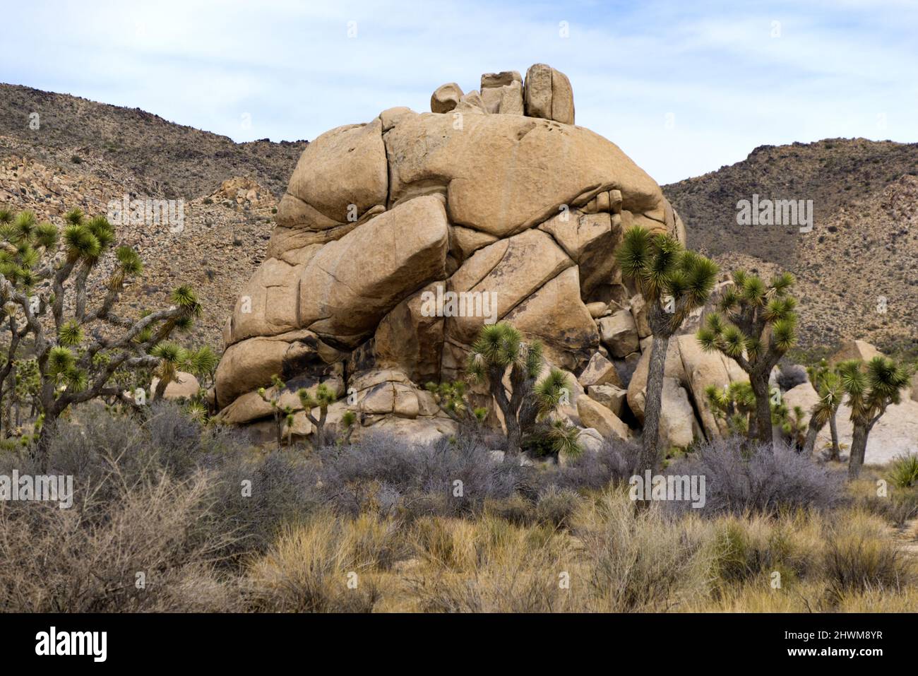 Joshua Tree National Park Hall of Horrors Monolith Stock Photo Alamy
