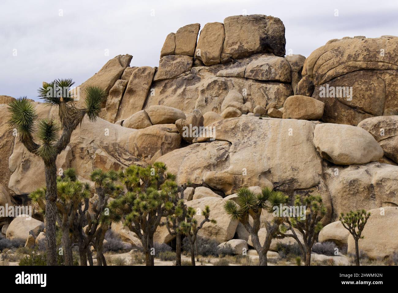 Joshua Tree National Park Hall of Horrors Rock Formation Stock Photo