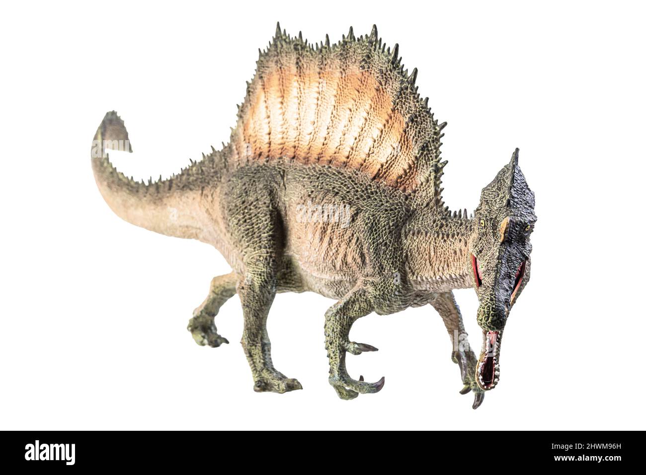 Spinosaurus , dinosaur on white background Stock Photo - Alamy