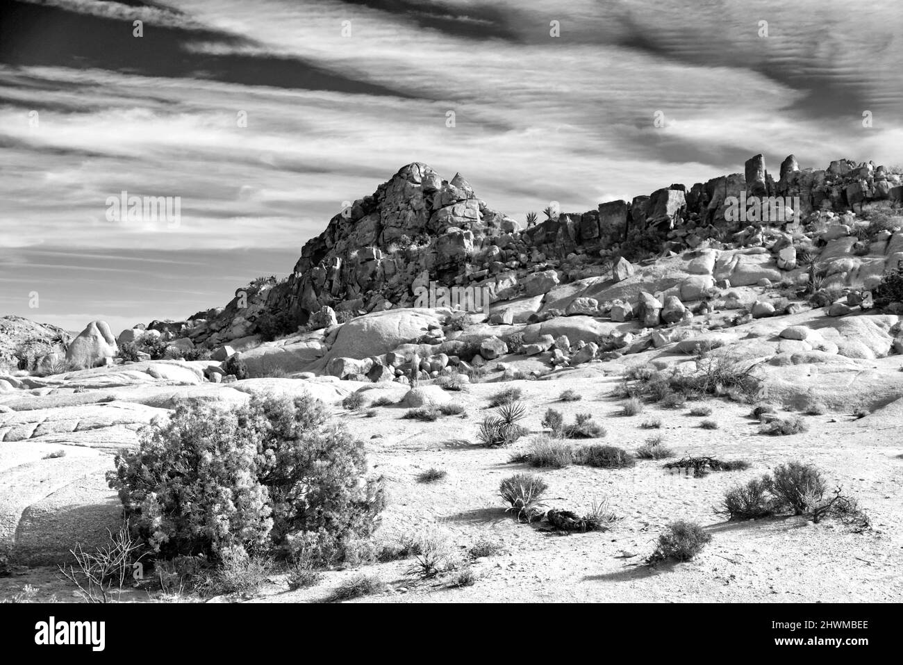 Joshua Tree National Park Terrain Stock Photo Alamy