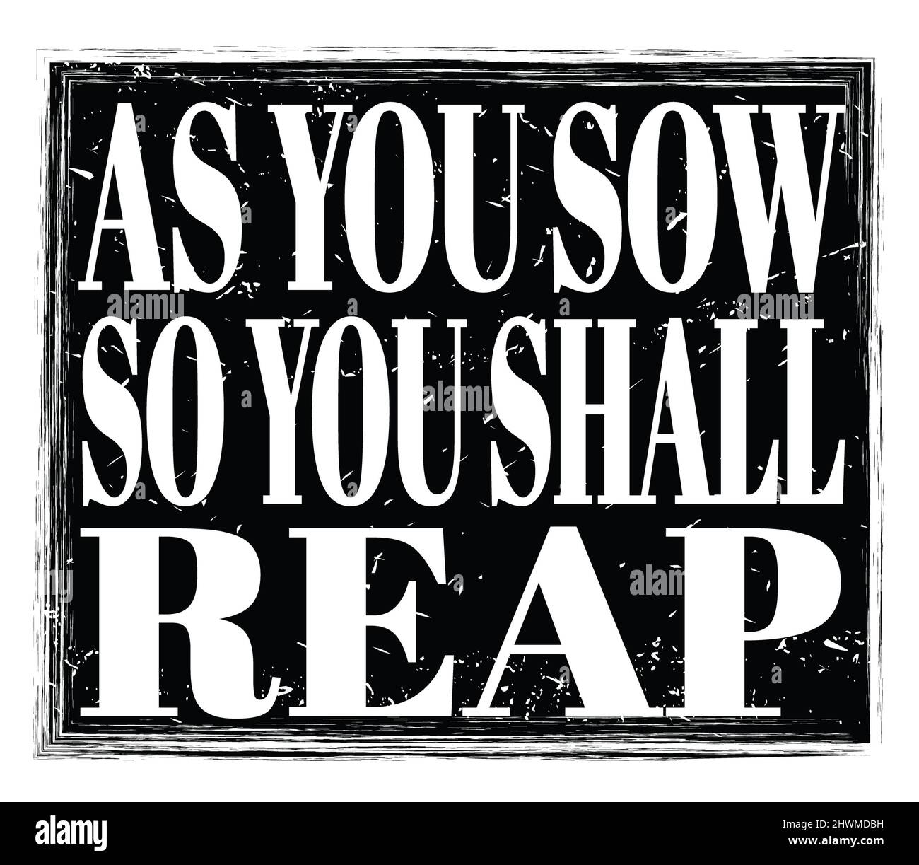 As You Sow So You Shall Reap, Written On Black Grungy Stamp Sign Stock  Photo - Alamy