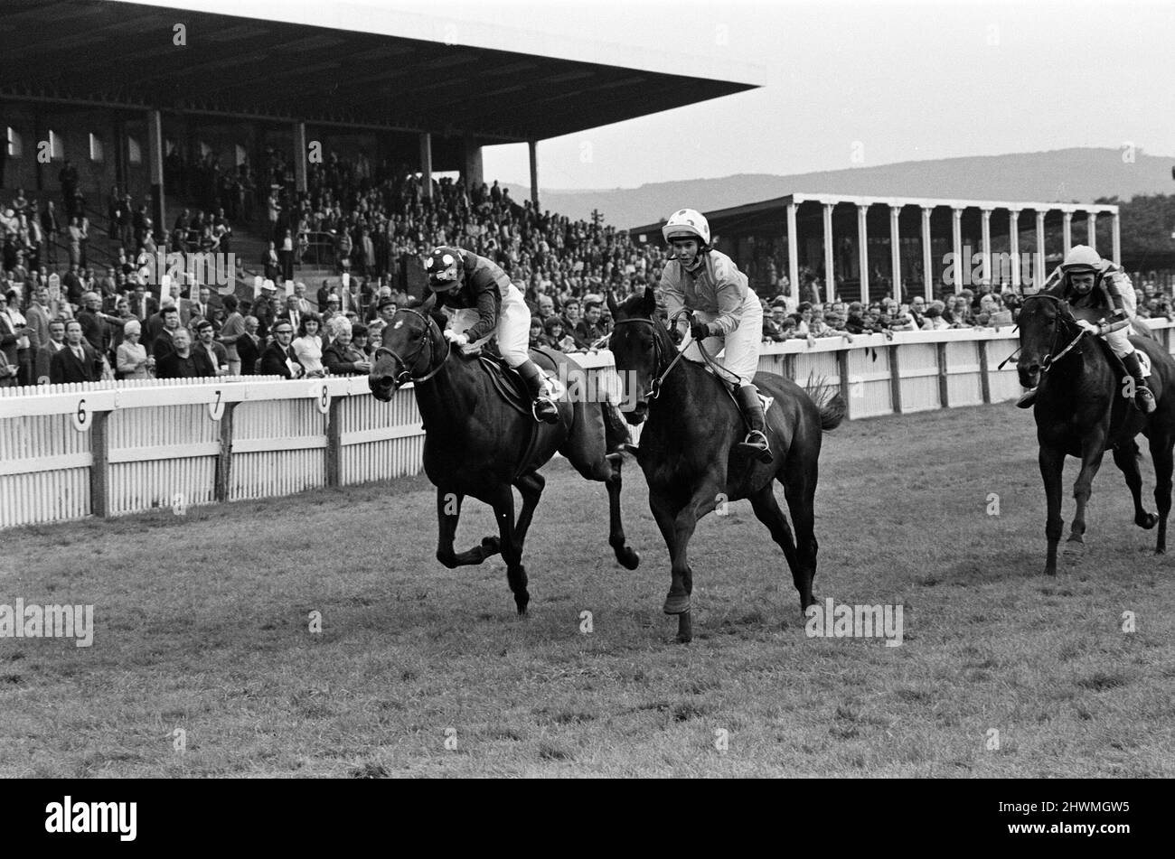 General view of Redcar races. 1973 Stock Photo Alamy