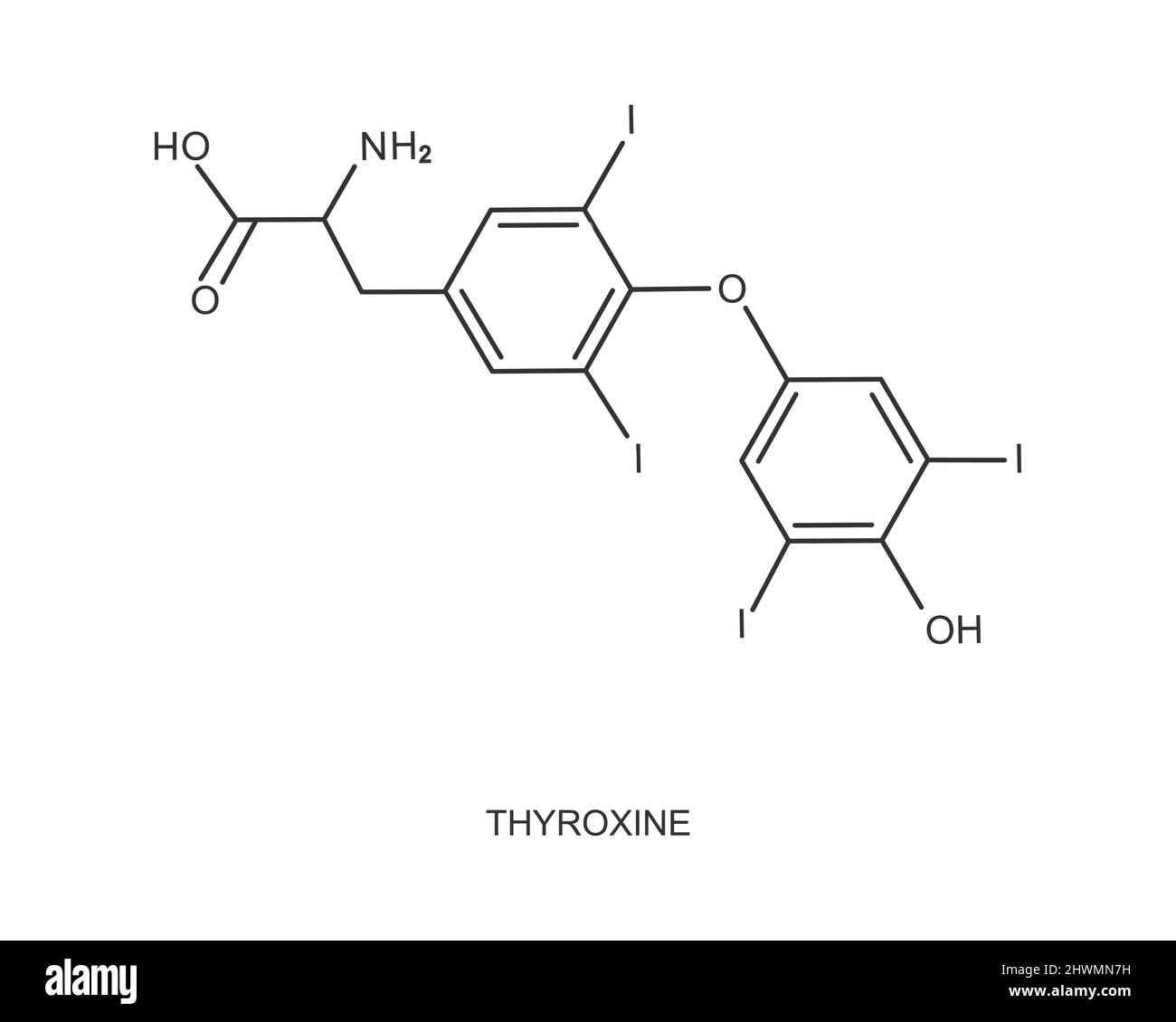 Thyroxine icon. Chemical molecular structure. Major endogenous hormone secreted by the thyroid gland isolated on white background. Vector outline illustration Stock Vector
