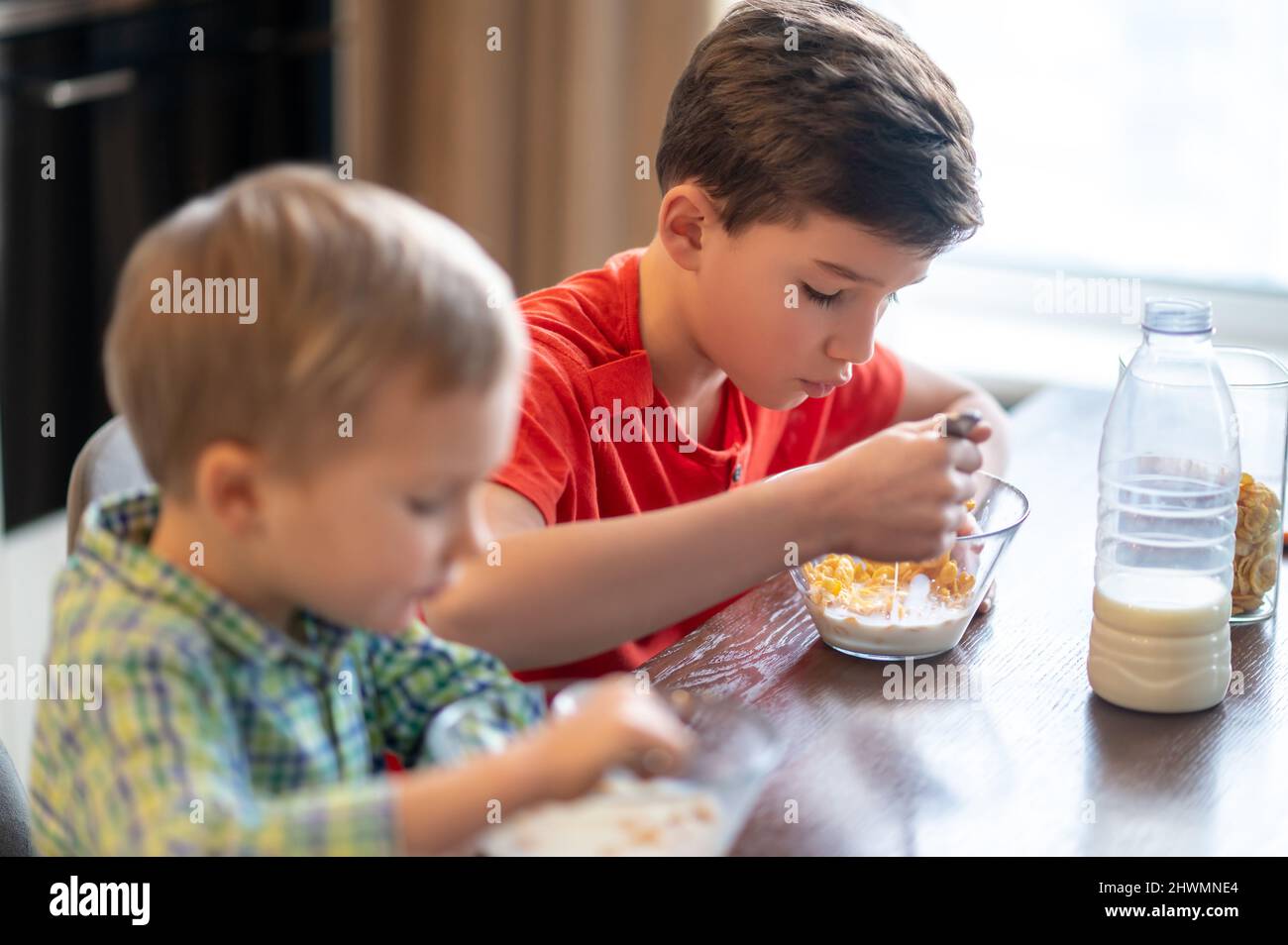 Two kids consuming oat flakes during the morning meal Stock Photo
