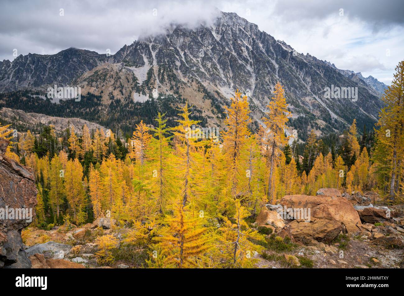 Alpine Larches and Mount Stuart in The Alpine Lakes Wilderness Stock Photo
