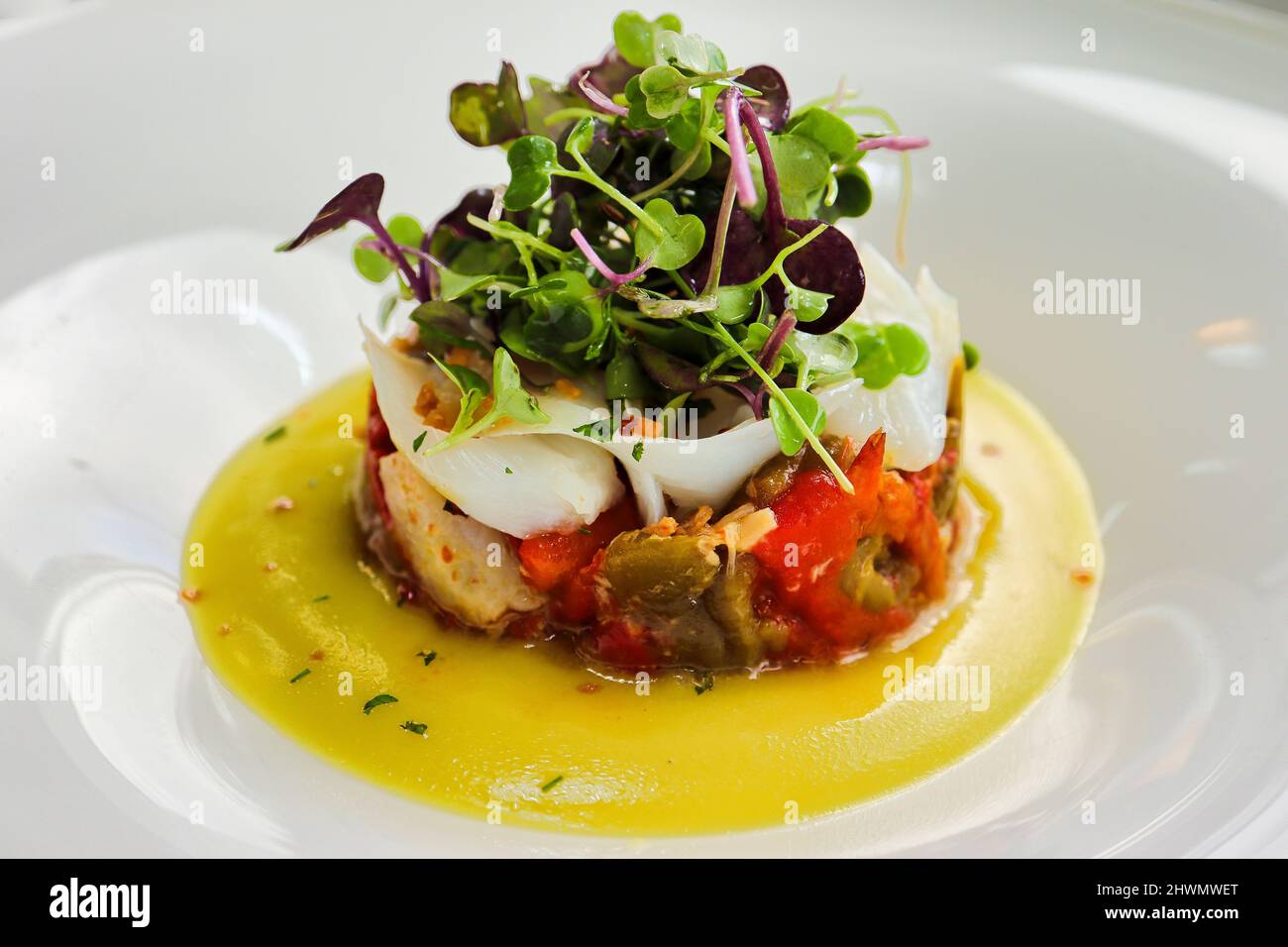Cod timbale with micro mezclum mix sakura, roasted peppers and pil pil Stock Photo