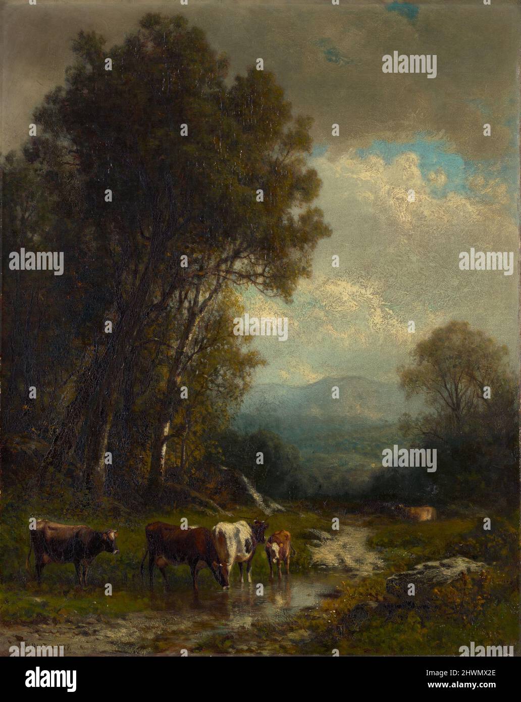 Landscape with Cattle.  Artist: William M. Hart, American, born Scotland, 1823–1894 Stock Photo