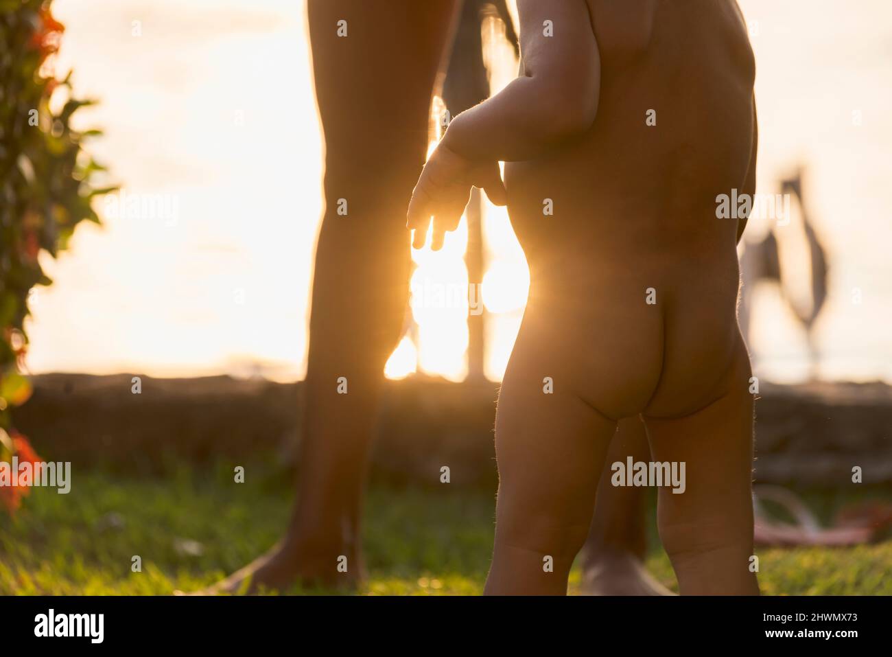 Cute toddler without clothes standing on the grass at sunset Stock Photo -  Alamy