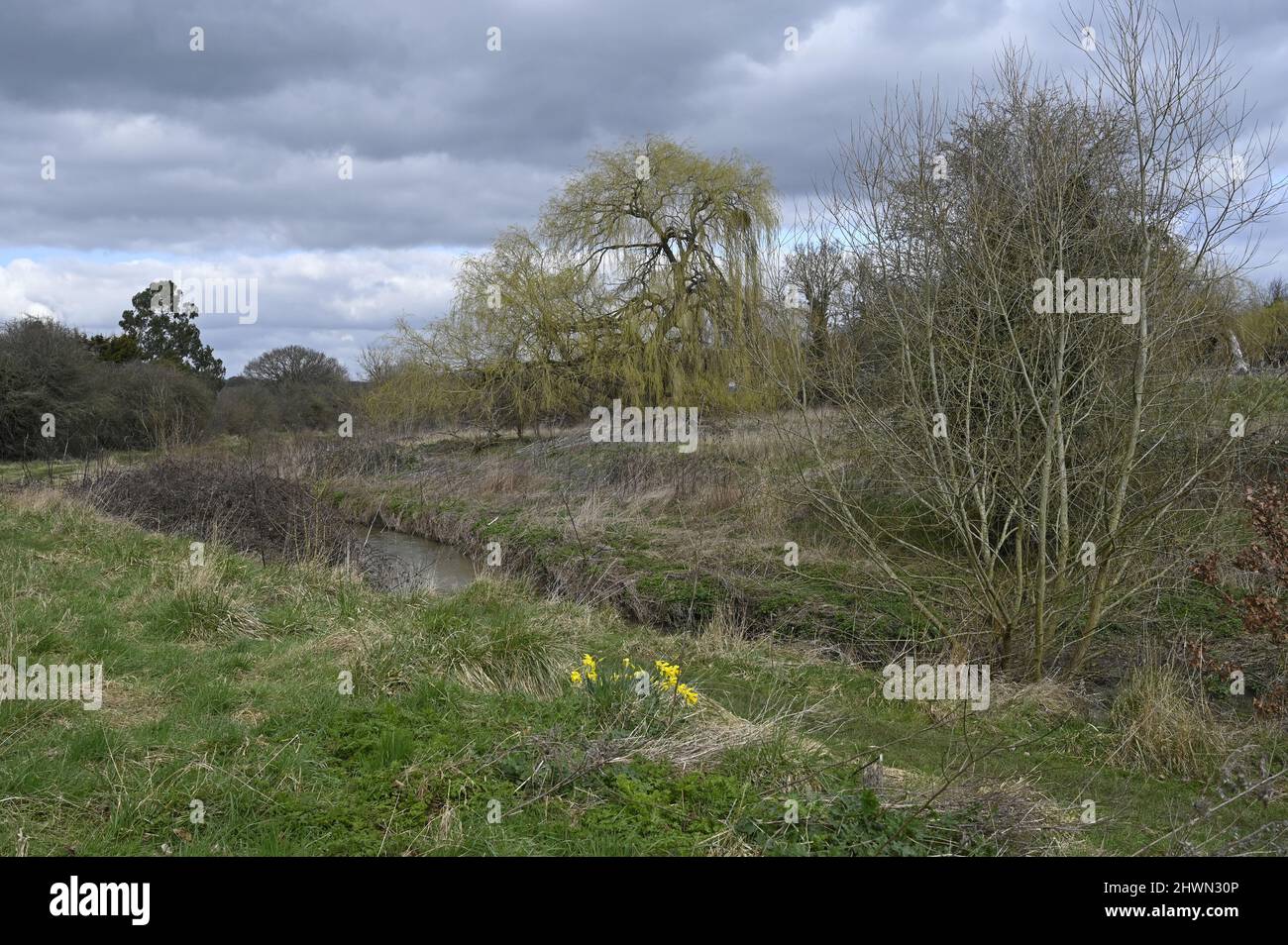 The River Crouch near the London Road Bridge at Wickford in Essex.  This is a conservation area managed by Basildon Council.  No fishing. Stock Photo