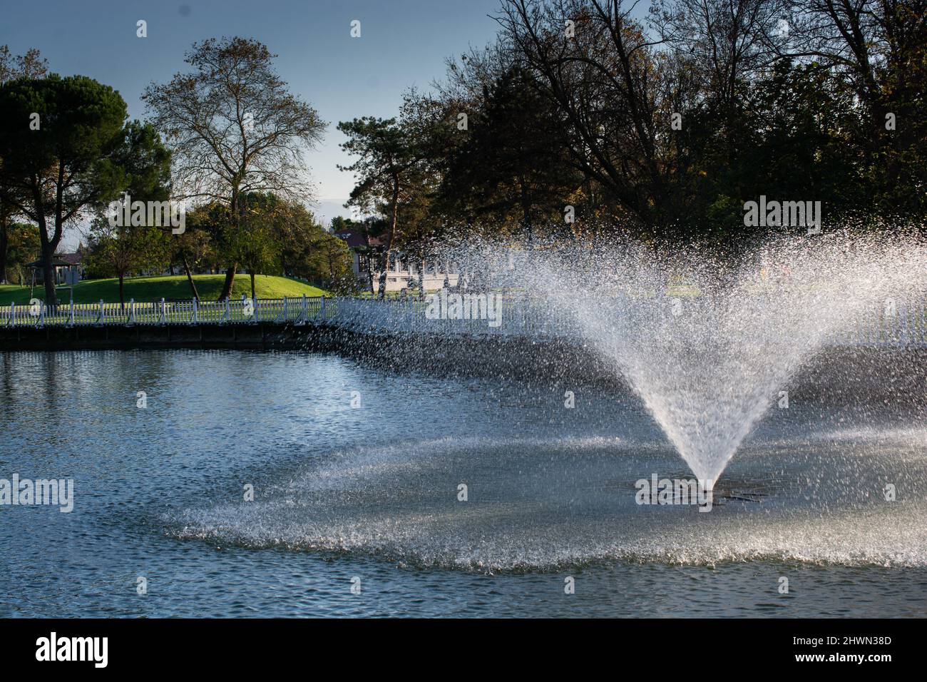 The fountain spouting water from a