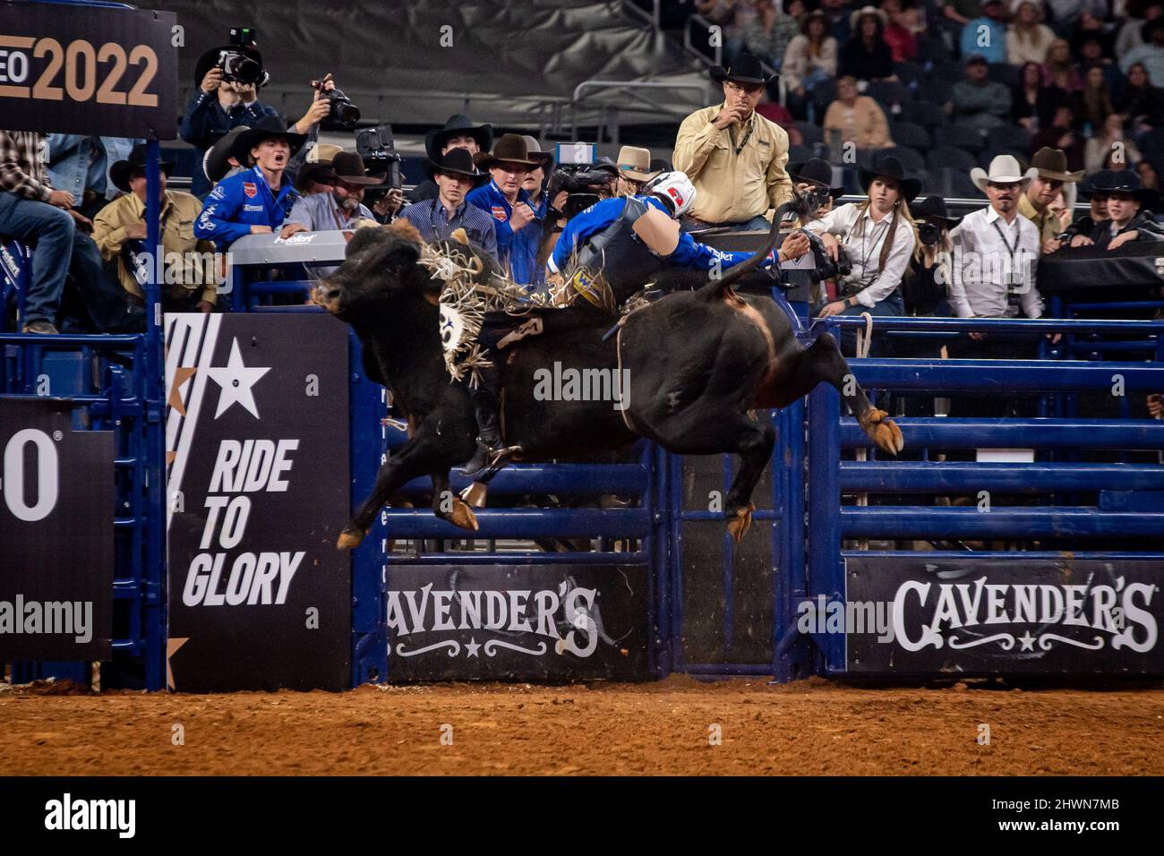 Arlington, Texas, USA. 06th Mar, 2022. Arlington TX - March 06: Stetson Wright didn’t ride time on Chisled at The American Rodeo however over the week his efforts earned him ‘All Round Champion Cowboy’ at AT&T Arena in Arlington, Texas, USA. (Photo by Matt Davies/PXImages) Credit: Px Images/Alamy Live News Stock Photo