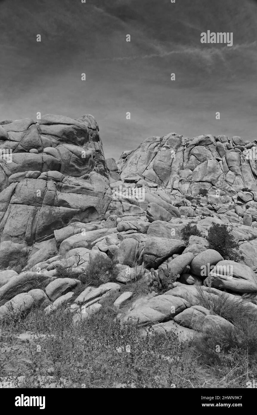 Joshua Tree National Park Stock Photo - Alamy