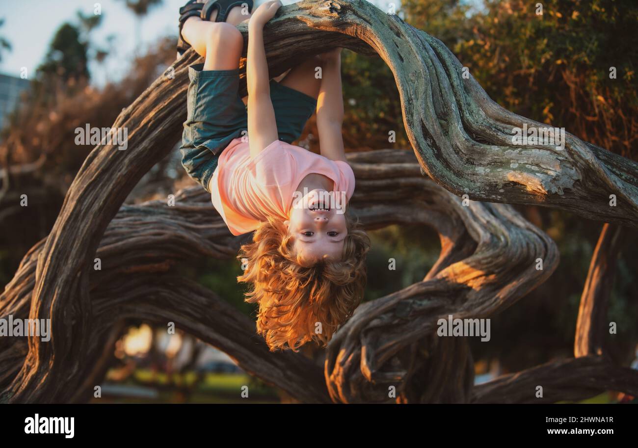 Child climbing tree. Smiling funny kid clim tree in the garden. Stock Photo