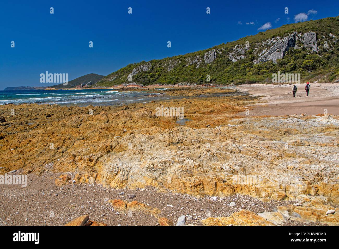 Hikers at Anniversary Bay, Rocky Cape National Park Stock Photo