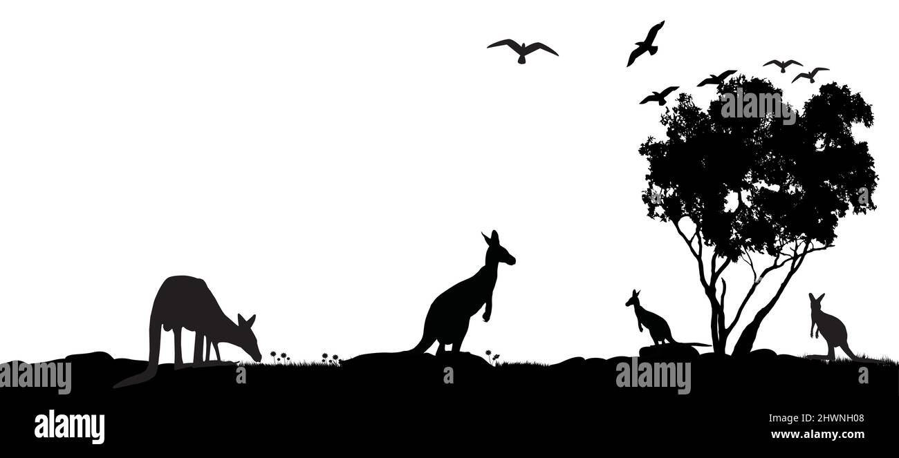 Australian kangaroos as a landscape vector with Australian gum tree Stock Vector