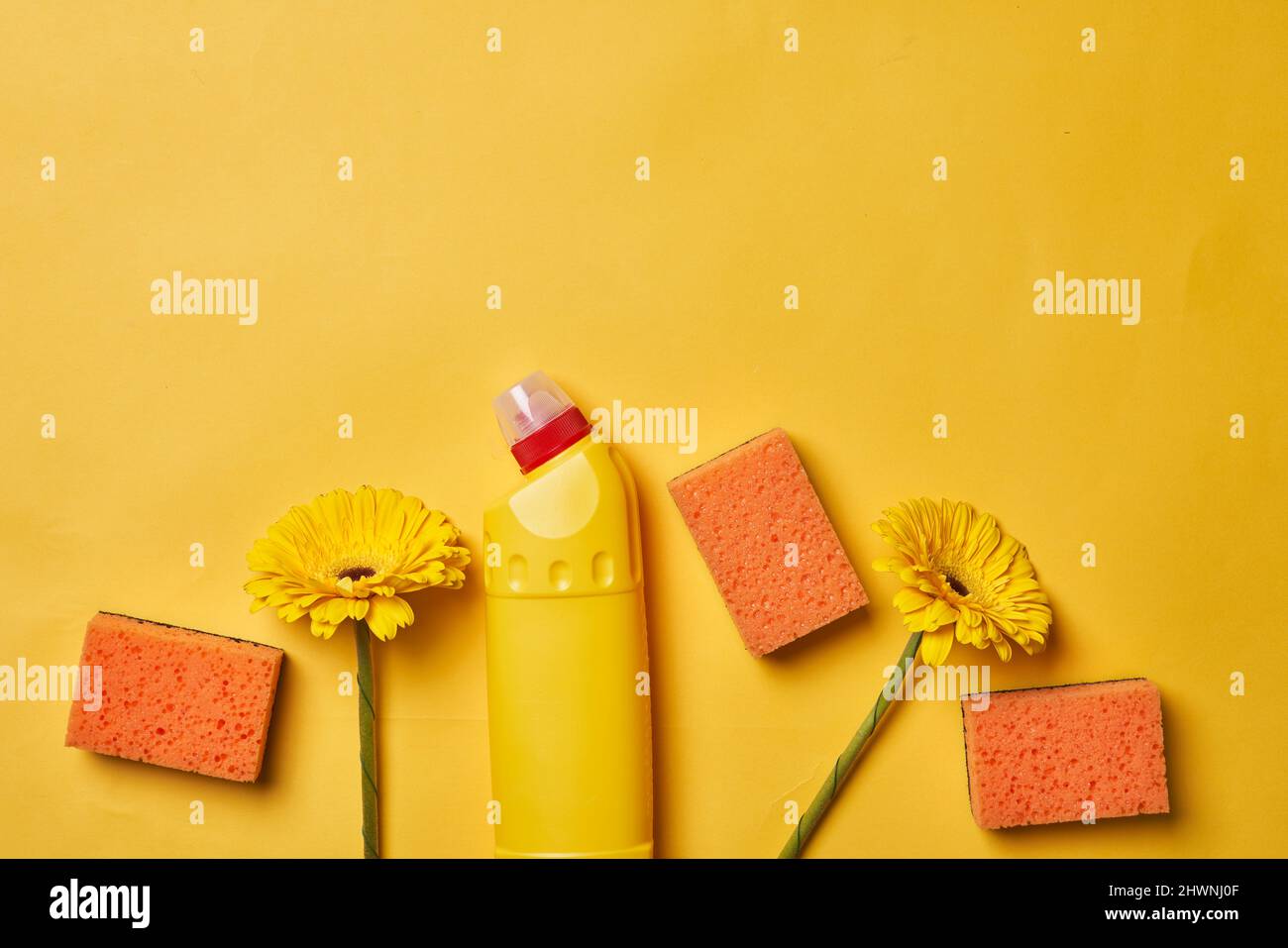 Cleaning service concept. Spring cleaning. Cleaning chemical bottles and supplies. House cleaning concept on colored background Stock Photo
