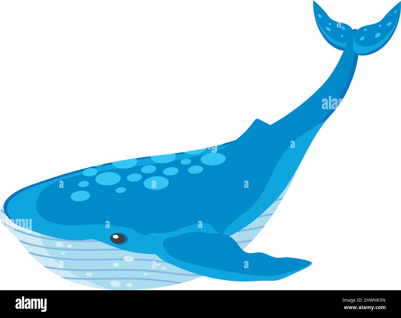 whale marine life Stock Vector Image & Art - Alamy