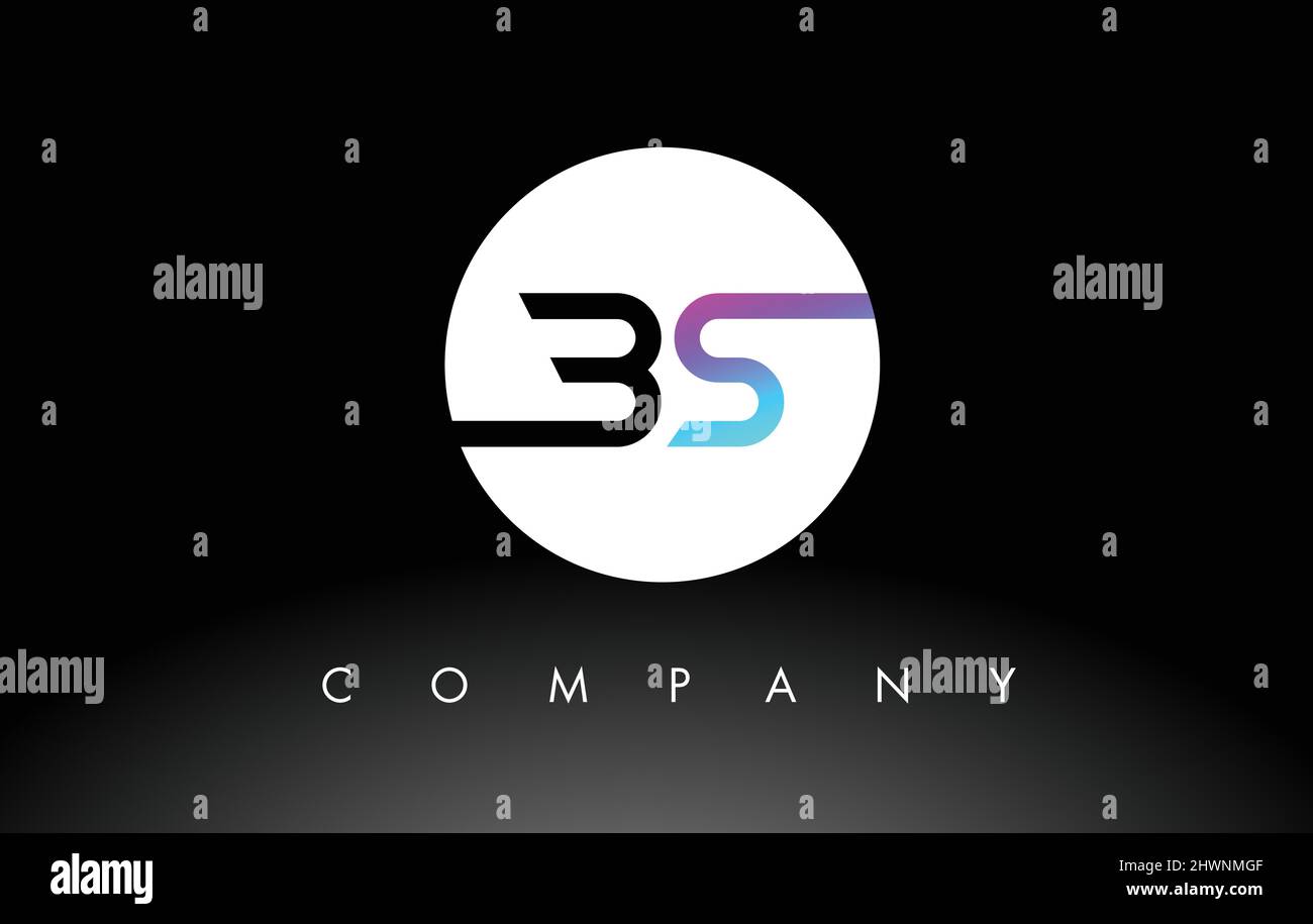 SaNe Clan - Embroidered Pullover Hoodie, image size:1300x915