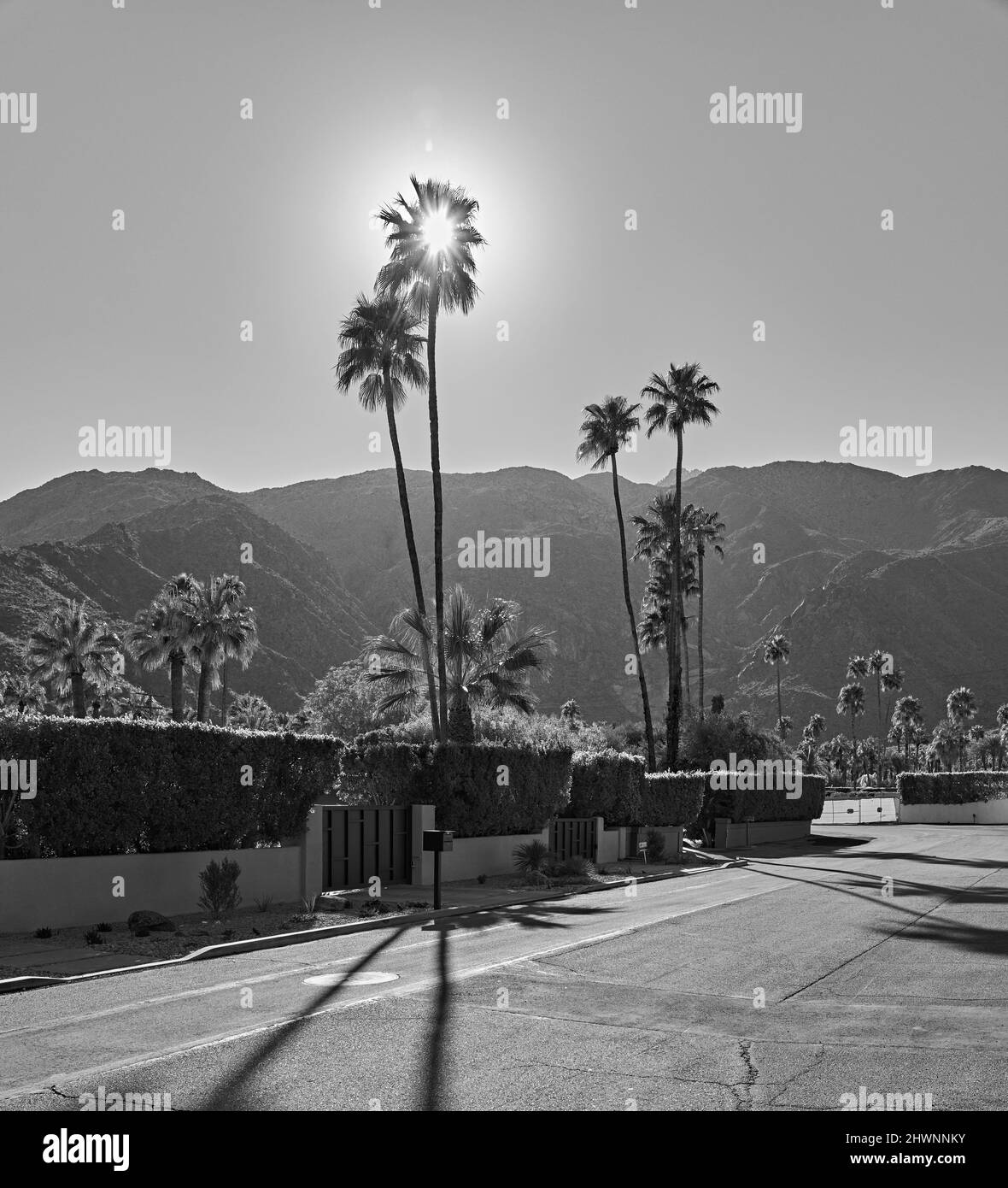 Palm Springs Mid Century Modern Stock Photo Alamy