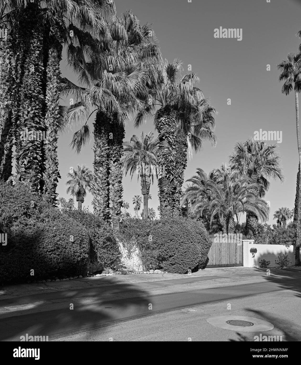 Palm Springs Mid Century Modern Stock Photo Alamy