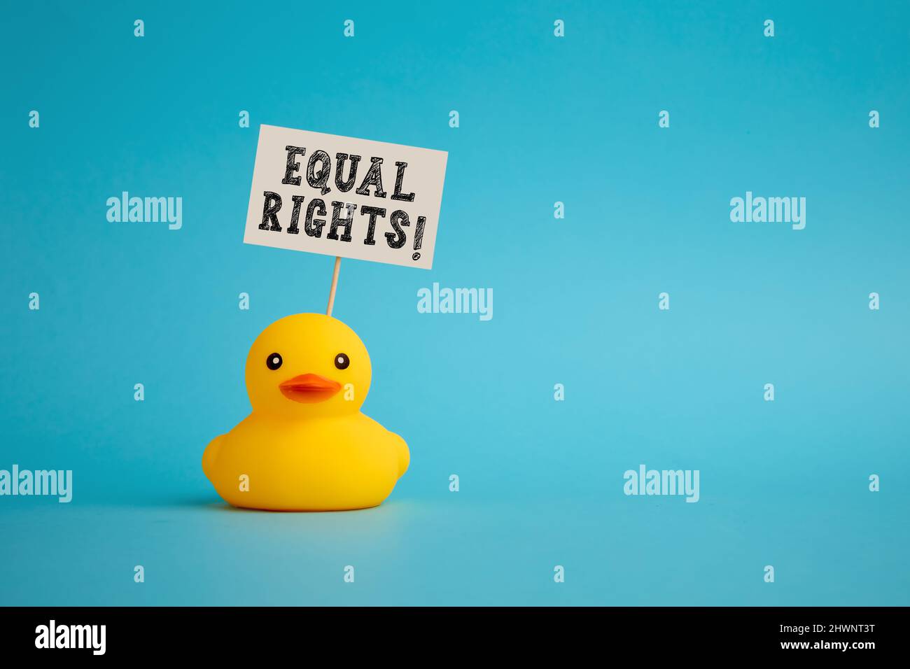Rubber duck carries a signboard with the message of equal rights. Equality and freedom social movement concept. Stock Photo