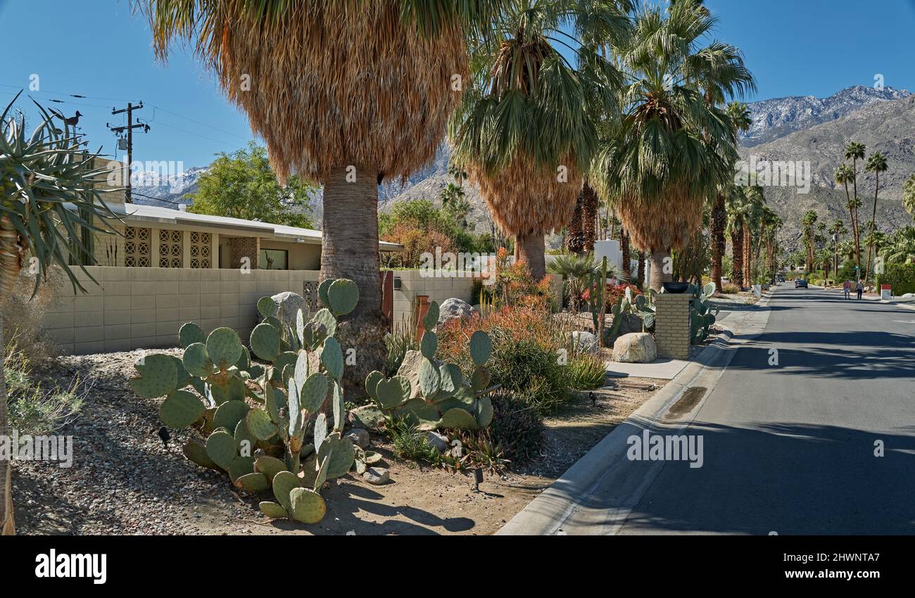 Palm Springs Mid Century Modern Stock Photo Alamy
