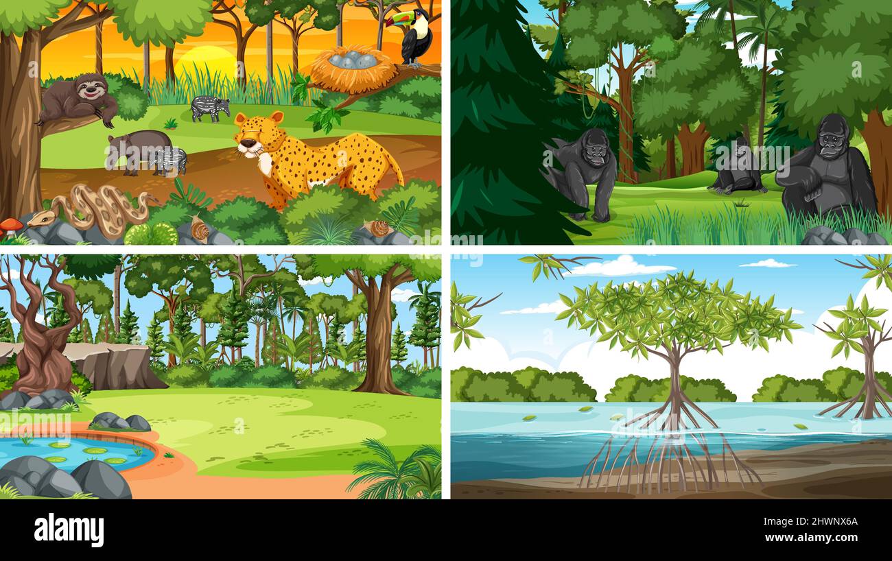 Four scenes with wild animals in forest illustration Stock Vector Image ...