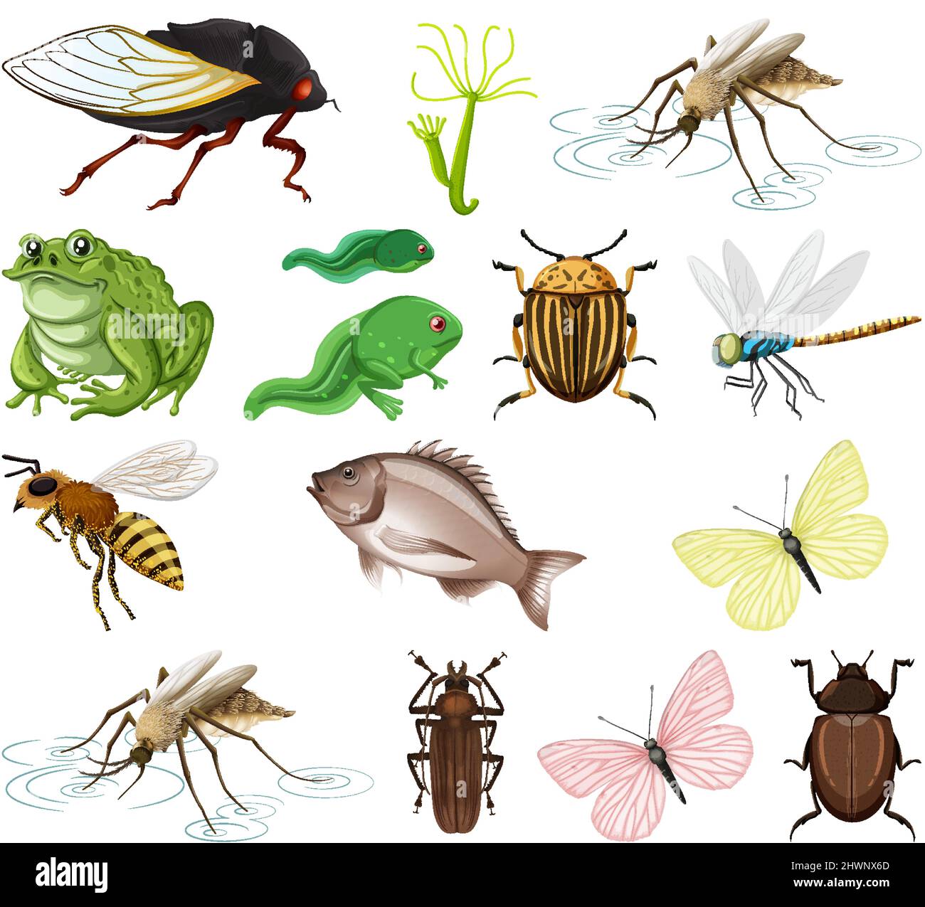 Different kinds of insects and animals on white background illustration Stock Vector