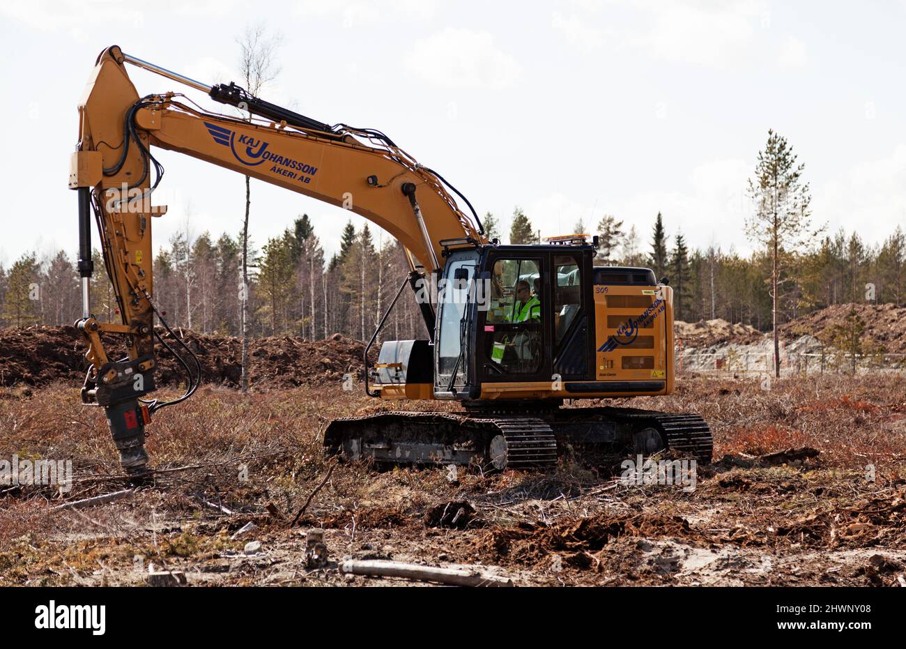 Umea, Norrland Sweden - April 30, 2020: tree felling machine on clear-cutting Stock Photo