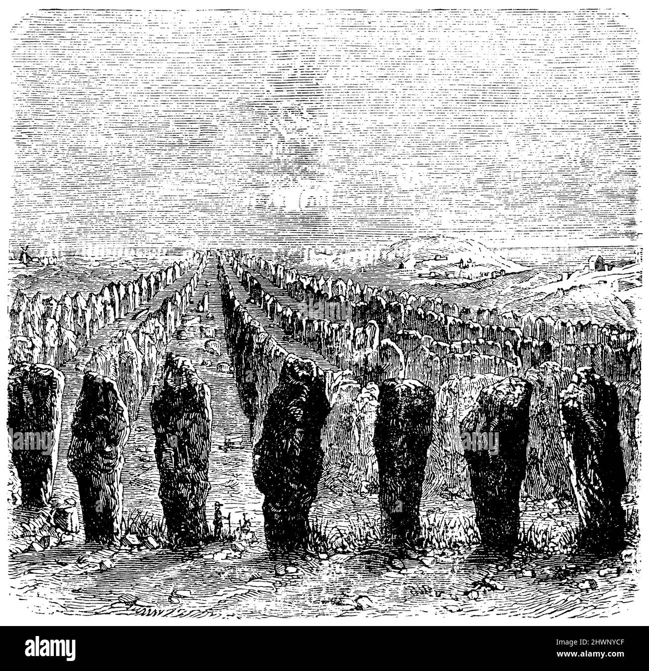 Stone rows at Carnac, ,  (encyclopedia, 1893), Steinreihen zu Carnac, Alignements de pierres à Carnac Stock Photo