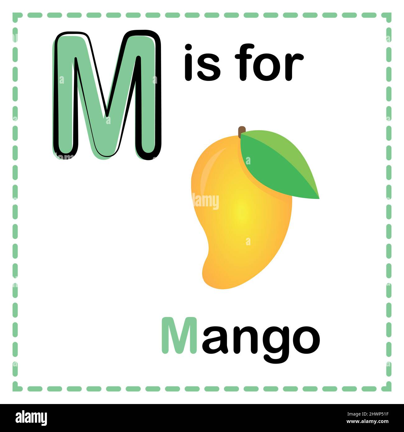 Mango images Stock Vector Images Alamy