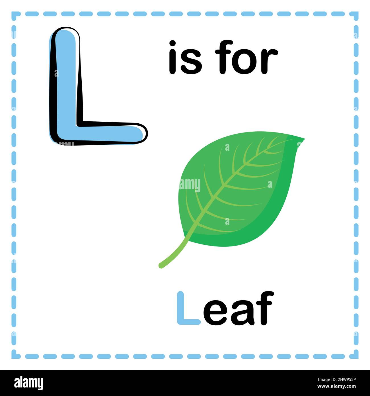 L is for leaf hi-res stock photography and images - Alamy
