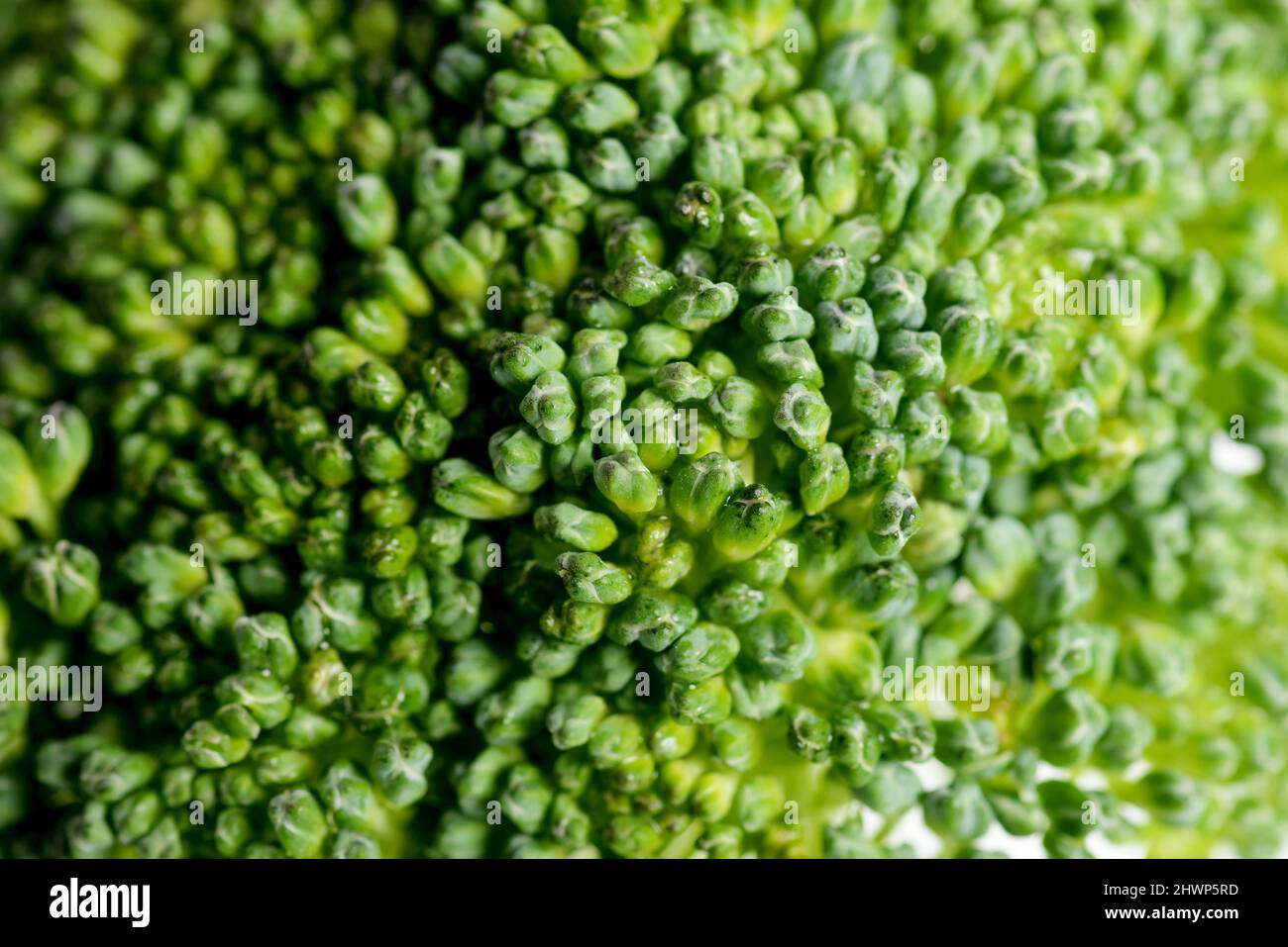 Close up shot of broccoli textured background. Stock Photo