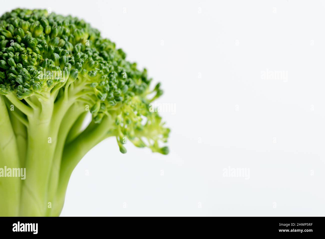 Close up shot of a sliced raw broccoli on a white background. Stock Photo