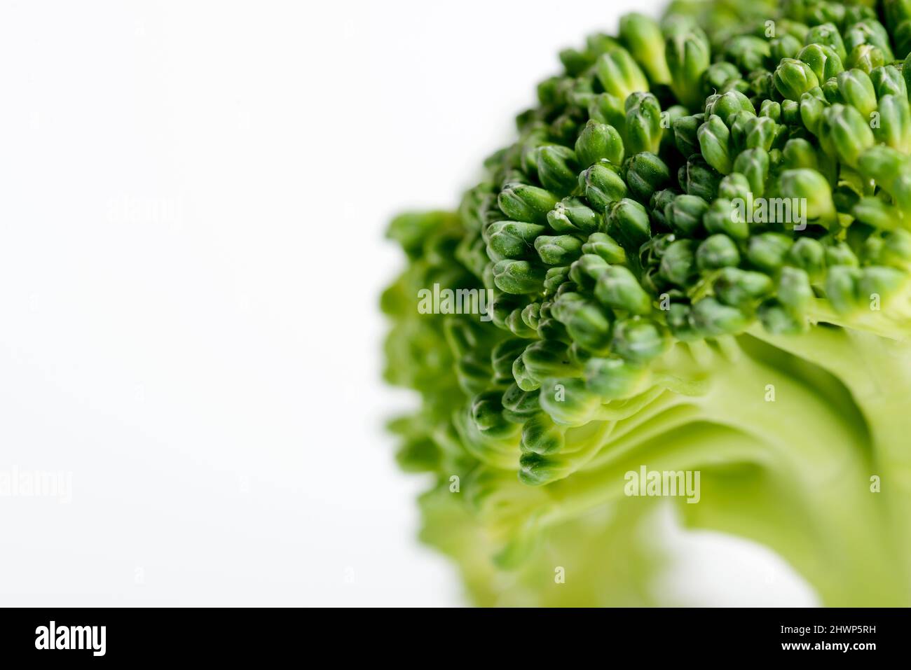Close up shot of a sliced raw broccoli on a white background. Stock Photo