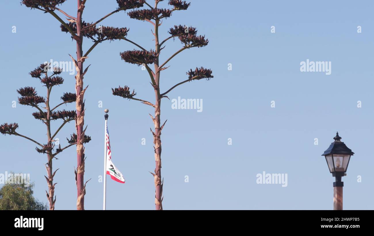 Succulent agave flower panicle, vintage lantern and american flag on flagpole or flagstaff waving, western California USA. Desert century plant and sky. Stock Photo