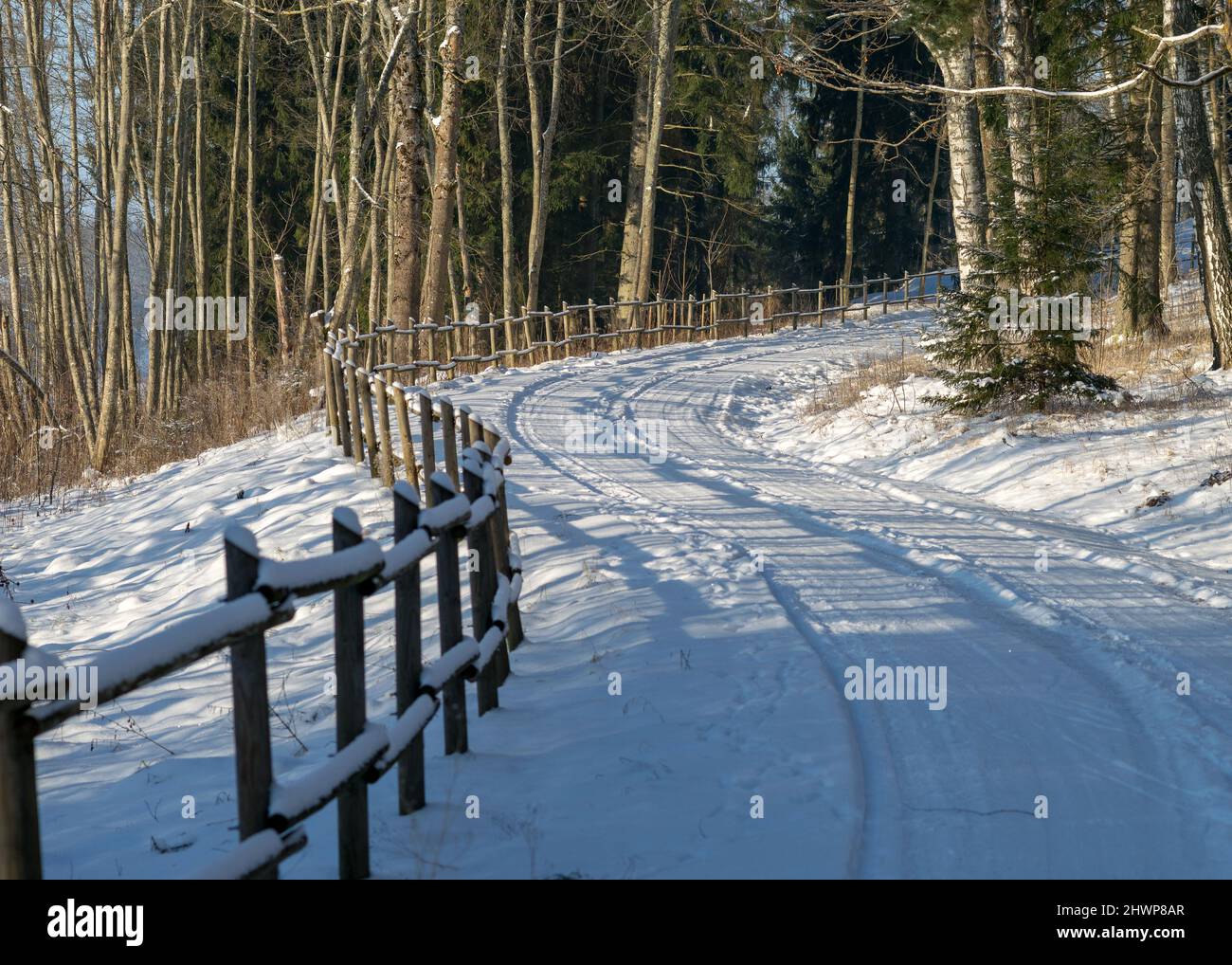 Winter landscape with snowy trees, white road, snowy wooden fence on ...