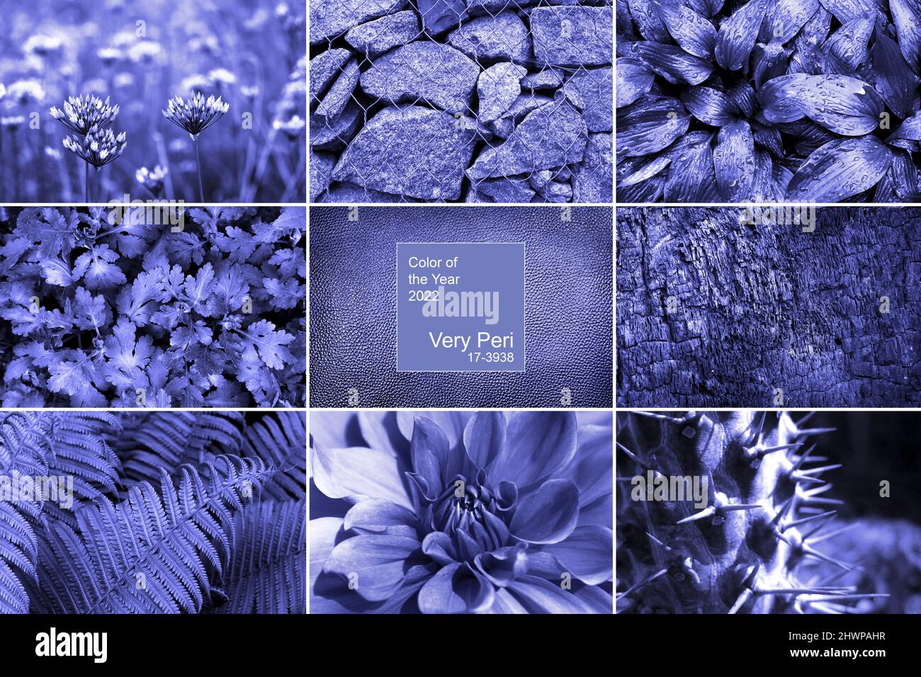 Collage of beautiful images toned in Very Peri Color of the Year 2022 Stock Photo