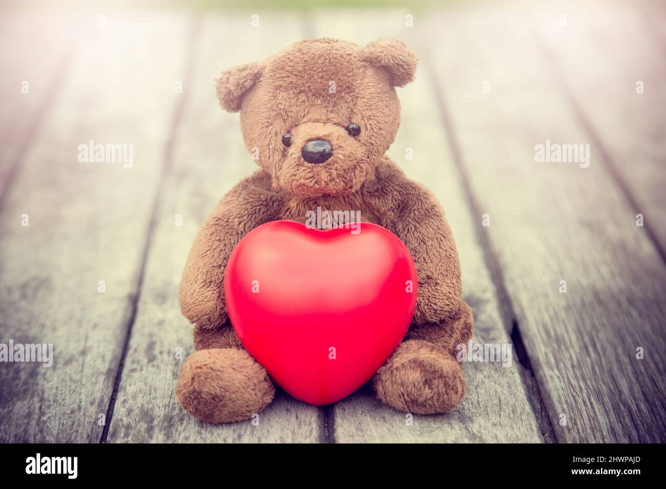 Vintage tone of Brown Bear and Red Heart with old wood background for ...