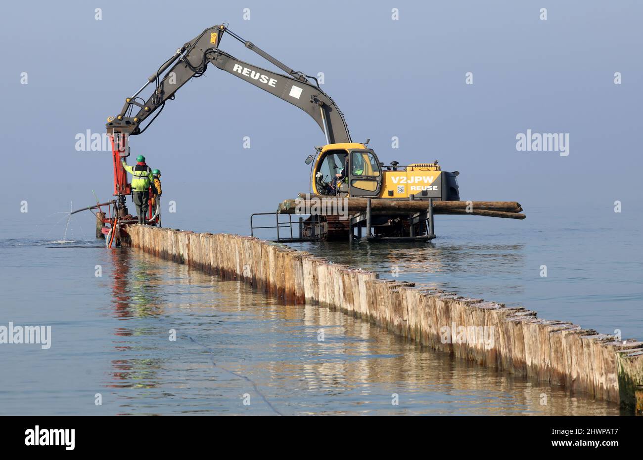 Wustrow, Germany. 02nd Mar, 2022. Destroyed by the ship's borer (Teredo navalis) are old groyne logs stored behind the dike of the Baltic resort of Wustrow. The replacement of the 21 groynes costs 1.9 million euros and will last from September 2021 to May 2022. The new groynes are to be built (on the seaward side) from certified tropical wood that can resist the ship borer. Credit: Bernd Wüstneck/dpa-Zentralbild/ZB/dpa/Alamy Live News Stock Photo
