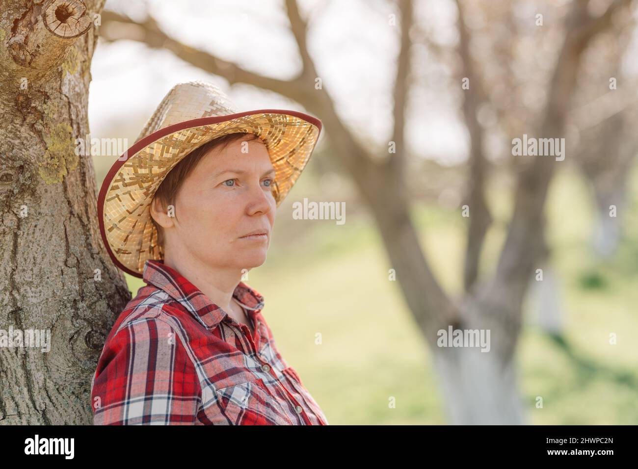 Portrait of female farmer in organic walnut orchard, sustainable farming and homegrown produce concept, selective focus Stock Photo