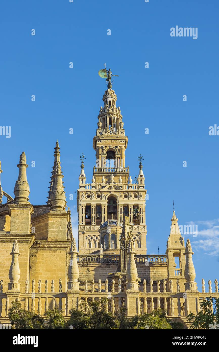 Looking up at the Giralda, seen from Triumph Square in Seville Stock Photo