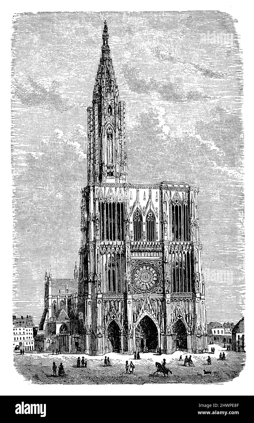 Strasbourg Cathedral, ,  (art history book, 1887), Straßburger Münster, Cathédrale de Strasbourg Stock Photo