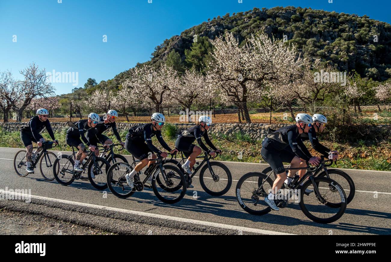 Cycling team riding along a road in Majorca  Valldemossa, Mallorca, SPAIN February, 2, 2022 Stock Photo