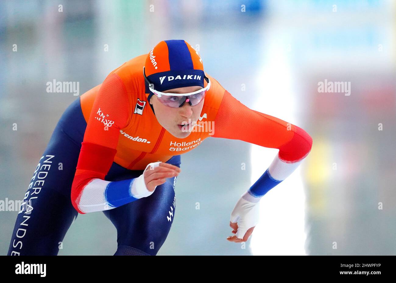 Merel conijn hi-res stock photography and images - Alamy