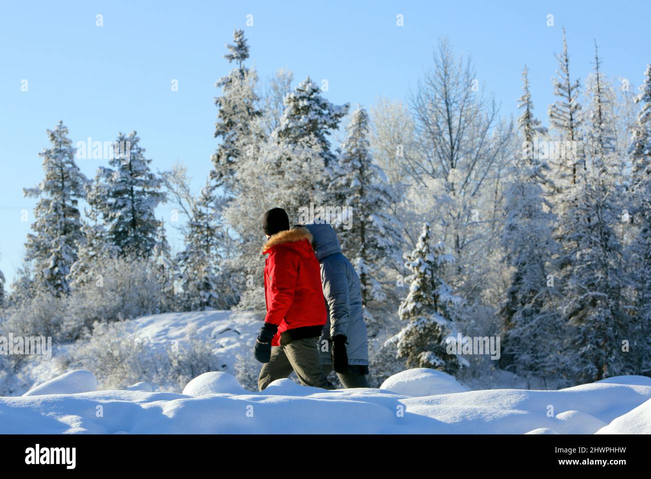 Couple wearing heavy Winter Clothing, enjoying a walk on beautiful winter day with freezing temperature below 25 Degree Celsius., near Smithers, Inter Stock Photo