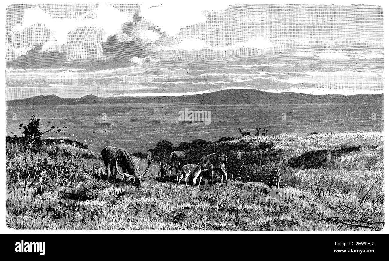 Plateau in the Scottish Highlands, ,  (atlas, 1909), Plateau in den schottischen Hochlanden, Plateau dans les hautes terres écossaises Stock Photo