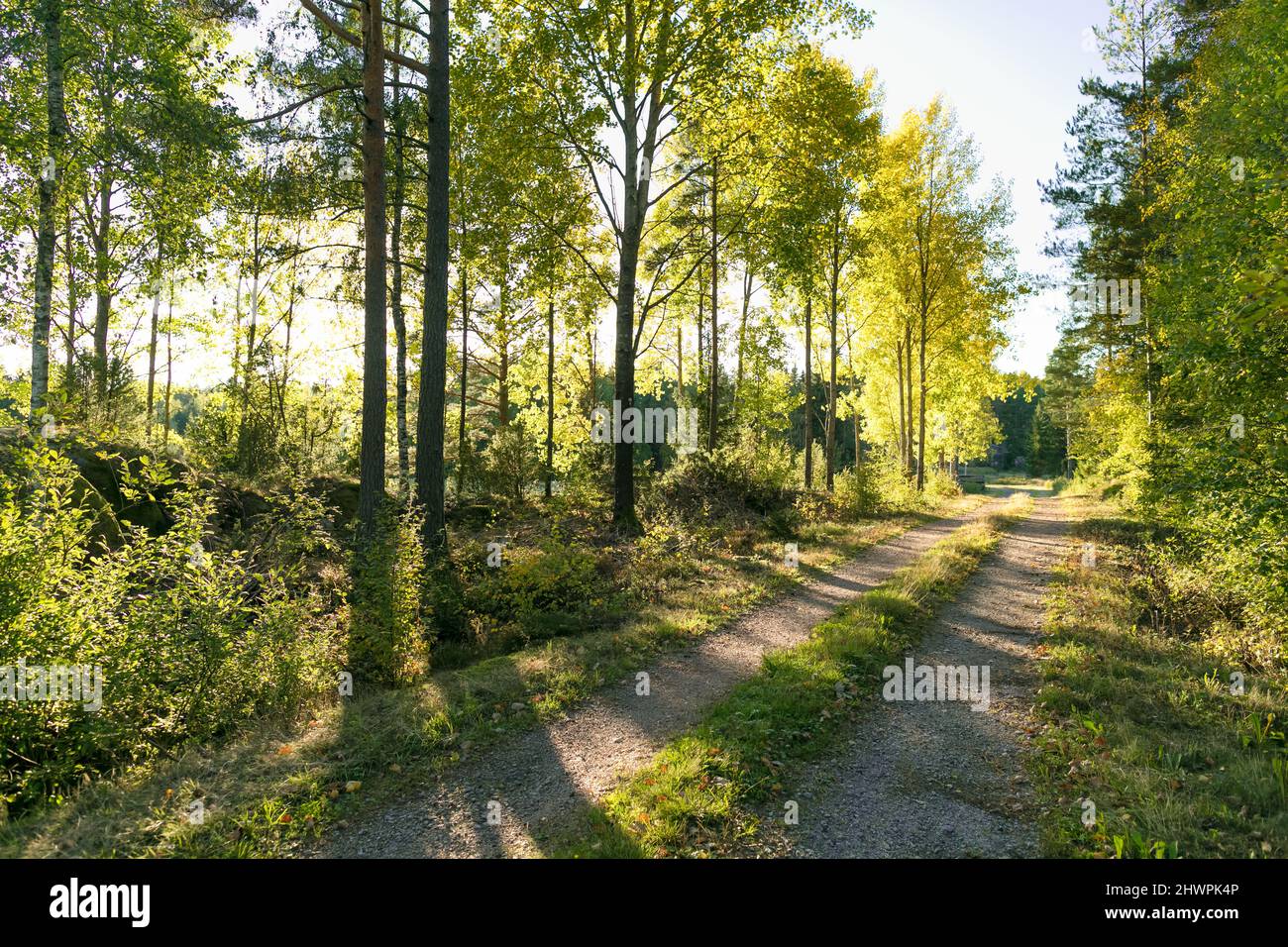 Peaceful walk hi-res stock photography and images - Alamy
