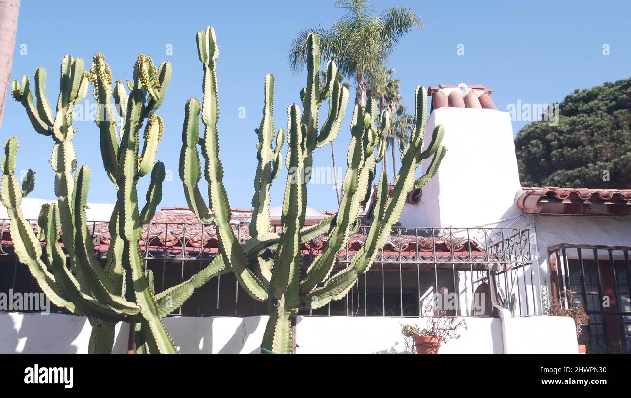 Mexican rural homestead garden and blue sky. Succulent plants in