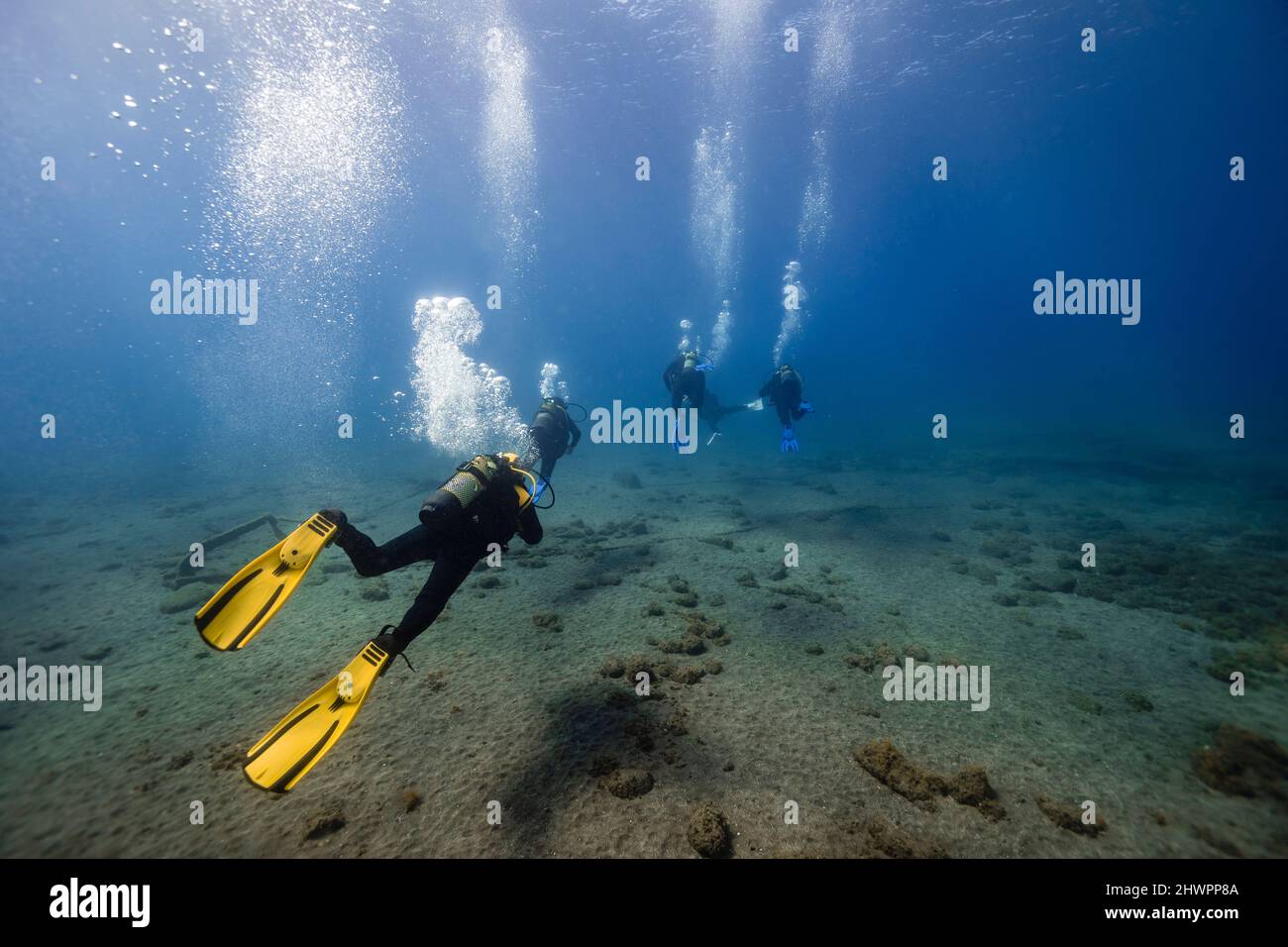Scuba divers over ocean floor undersea Stock Photo Alamy